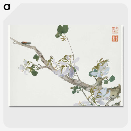1-6_Ju-Lian_picture-crop