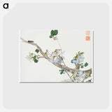 Insects and Flowers
 - ジュ リアン Postcard.