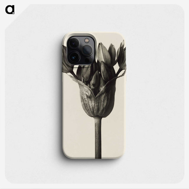 1-6_Karl-Blossfeldt_phone
