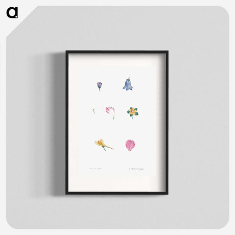 1-6_La-Botanique_blk