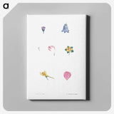 1-6_La-Botanique_canvas