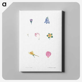 1-6_La-Botanique_canvas