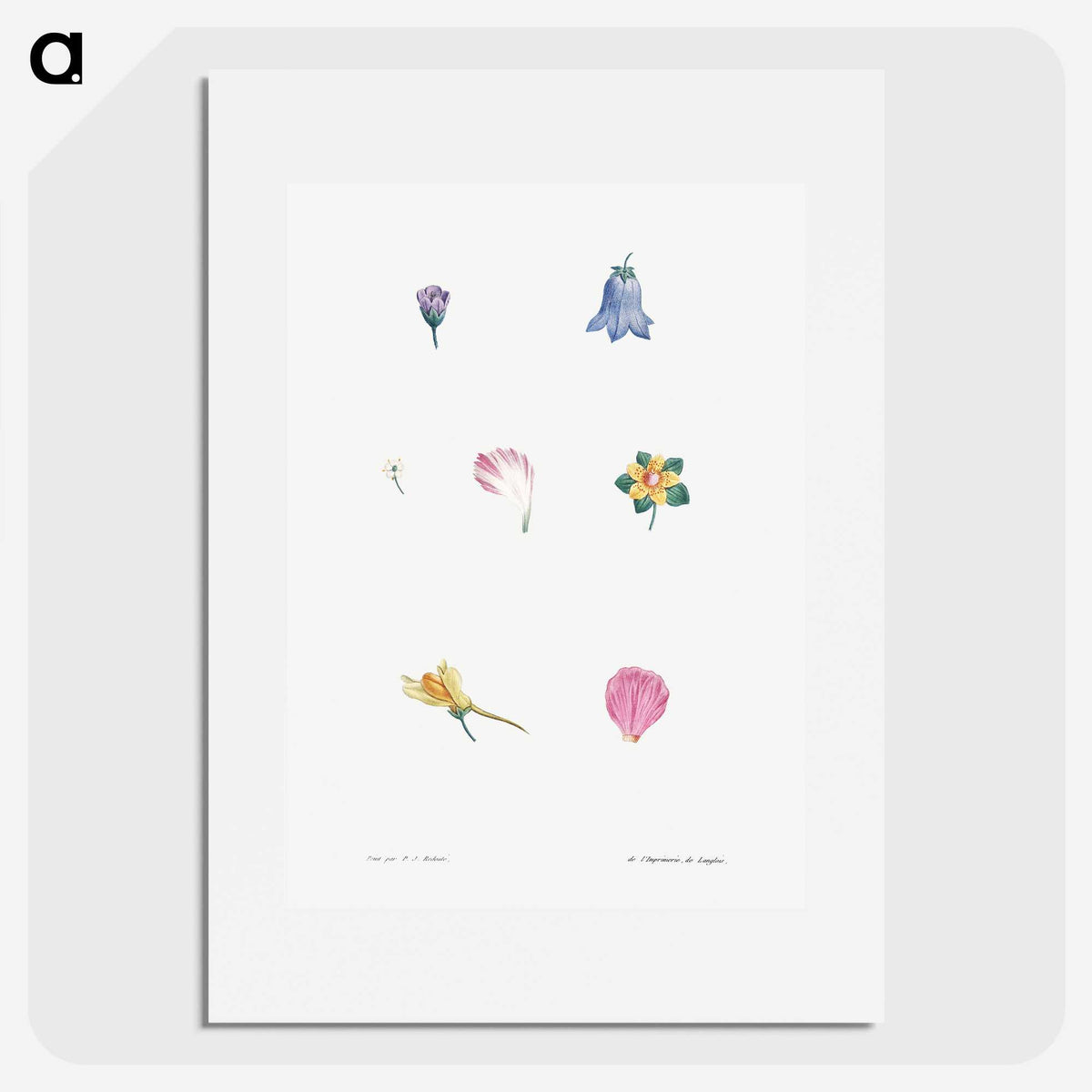 1-6_La-Botanique_picture