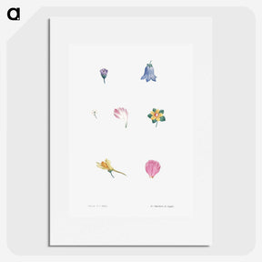 1-6_La-Botanique_picture