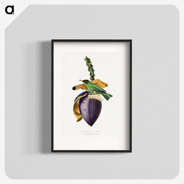 1-6_Le-Jardin-des-Plantes_blk