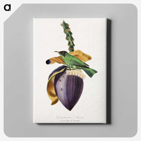 1-6_Le-Jardin-des-Plantes_canvas