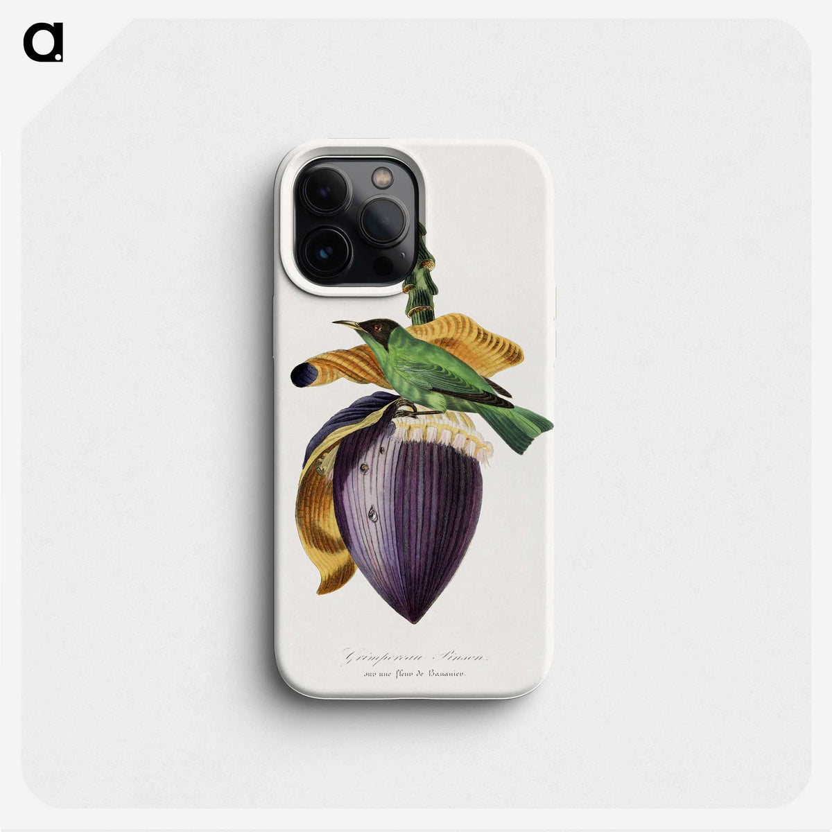 1-6_Le-Jardin-des-Plantes_phone