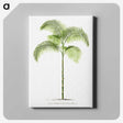 1-6_Les-Palmiers-Histoire-Iconographique_canvas