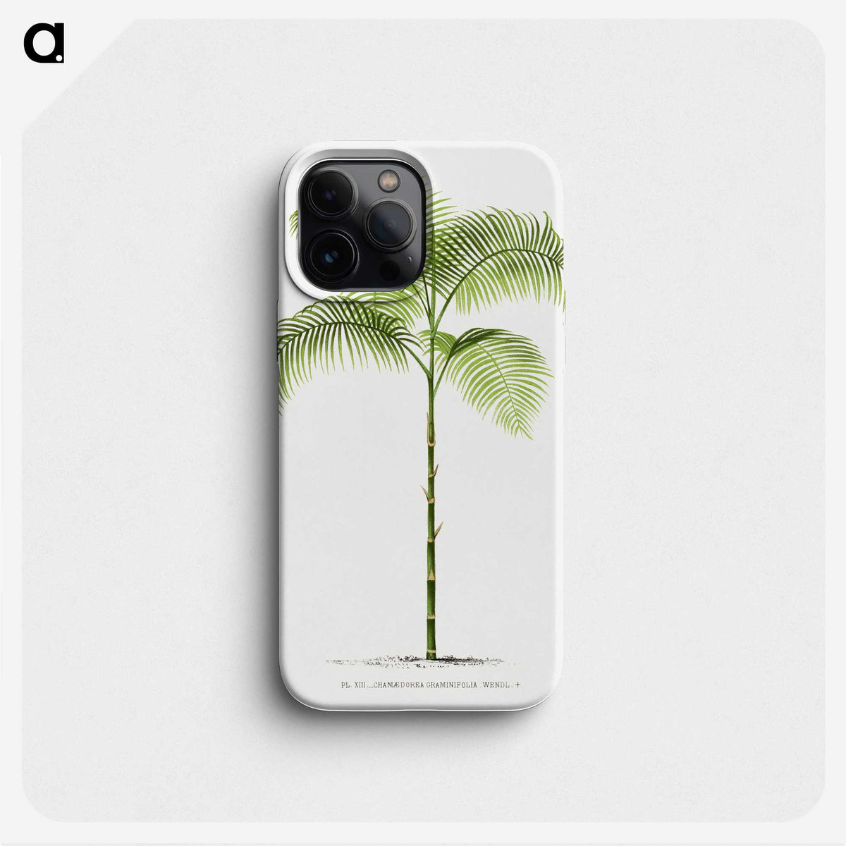 1-6_Les-Palmiers-Histoire-Iconographique_phone