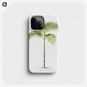 1-6_Les-Palmiers-Histoire-Iconographique_phone