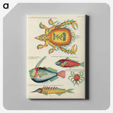 1-6_Louis-Renard_canvas