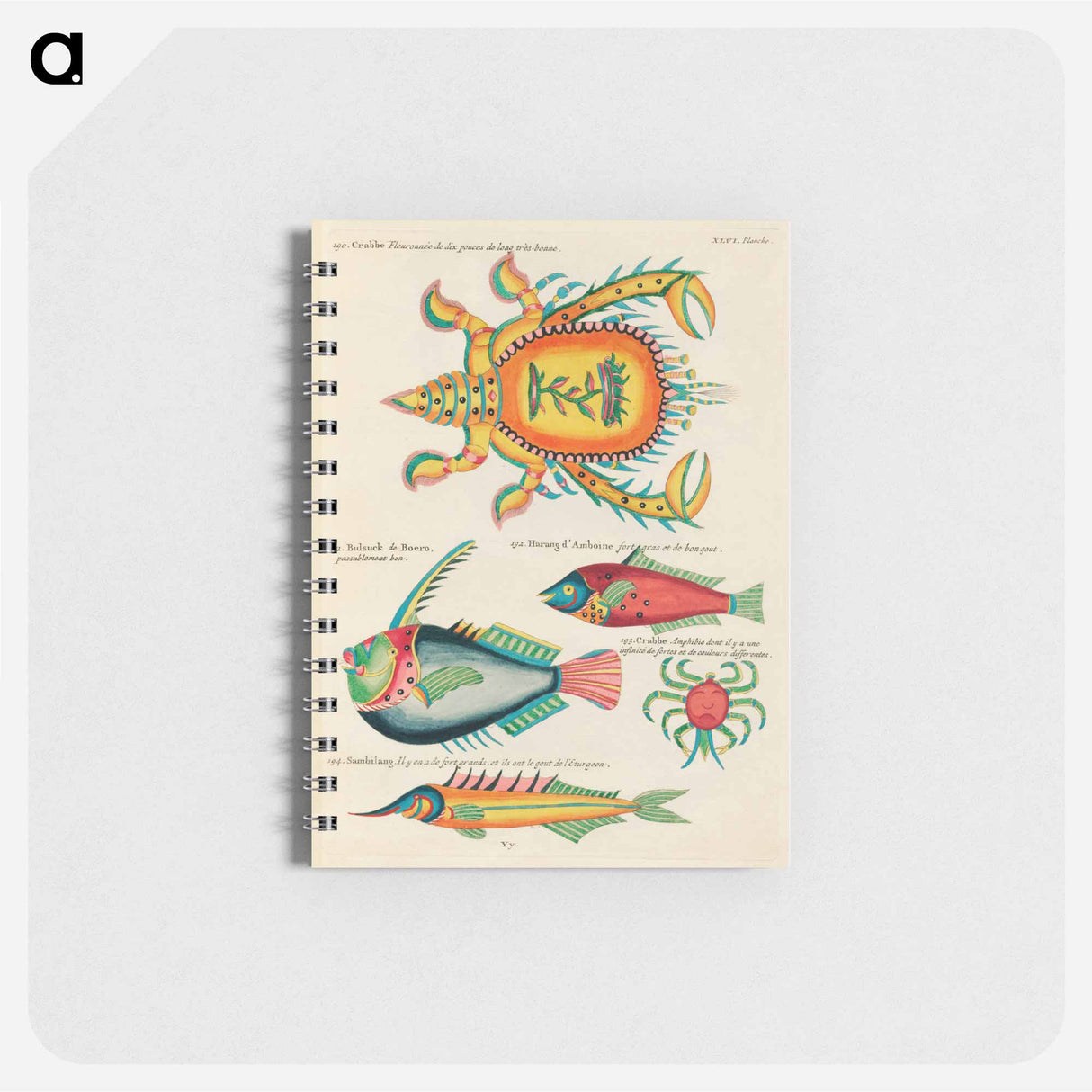 Marine Curiosities of the Indies
 - ルイ ルナール Memo.