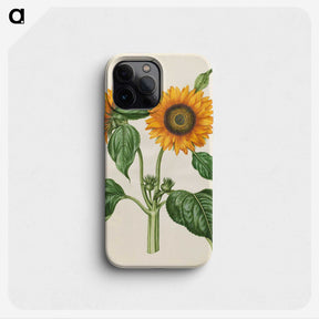 1-6_Maria-Sibylla-Merian_phone