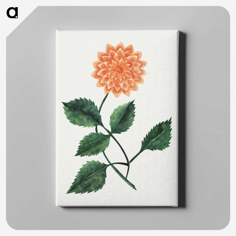 1-6_Mary-Altha-Nims_canvas