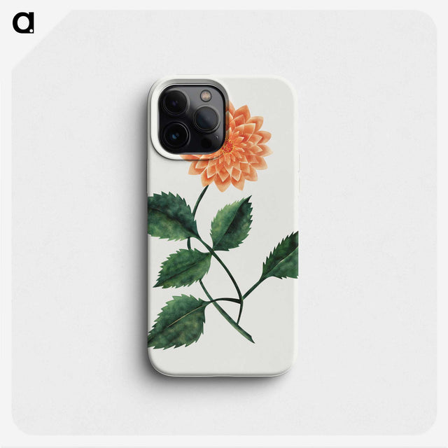 1-6_Mary-Altha-Nims_phone