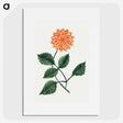 1-6_Mary-Altha-Nims_picture