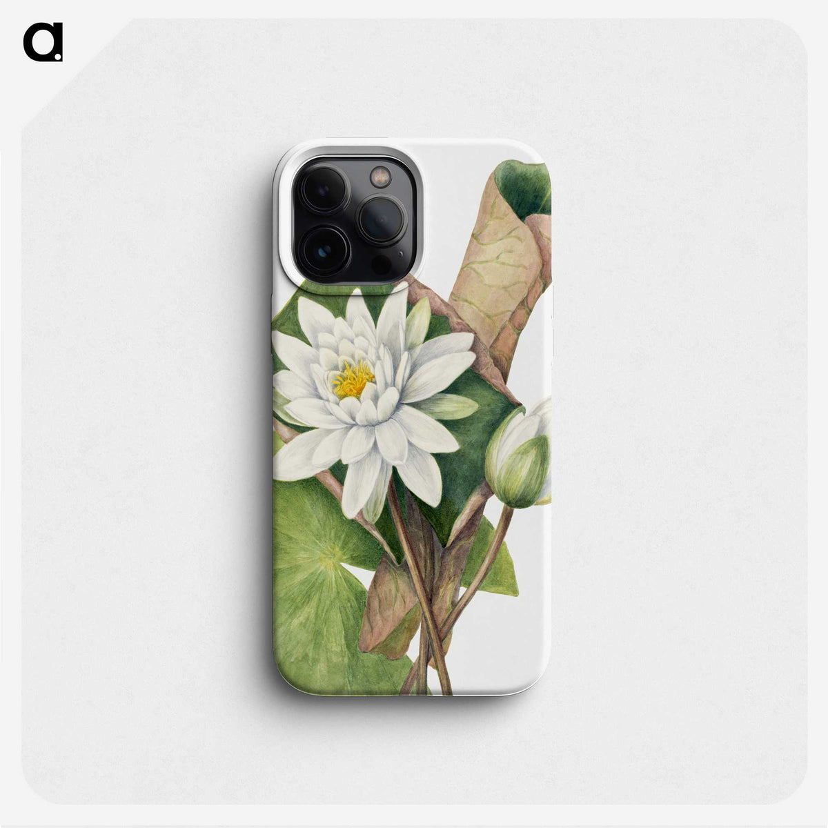 1-6_Mary-Vaux-Walcott_phone