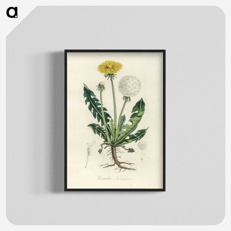 1-6_Medical-Botany_blk-crop