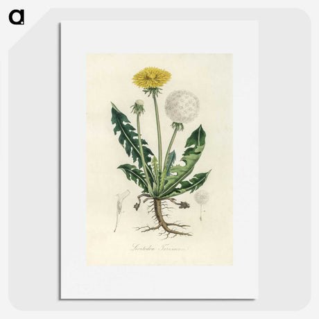 1-6_Medical-Botany_picture