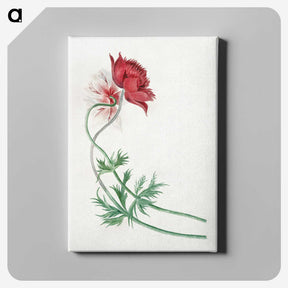 1-6_Michiel-van-Huysum_canvas