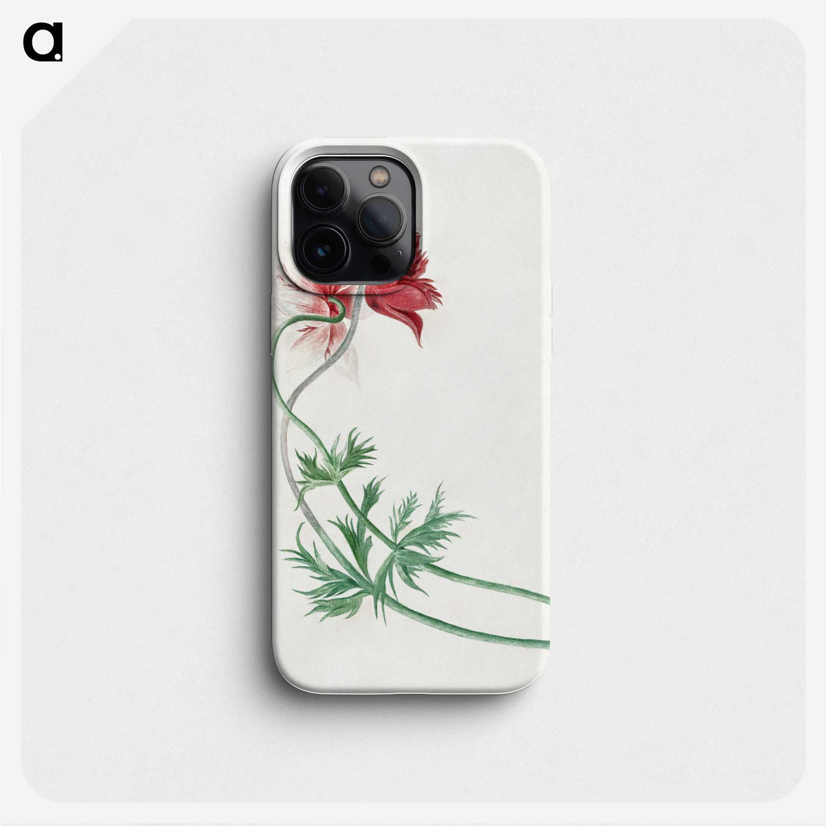 1-6_Michiel-van-Huysum_phone