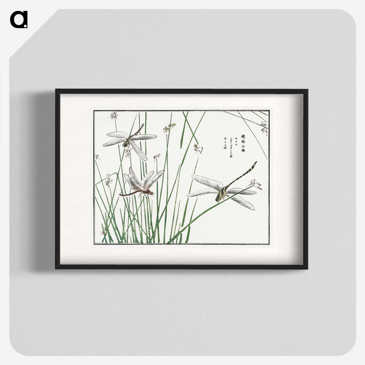 1-6_Morimoto-Tokaku_blk