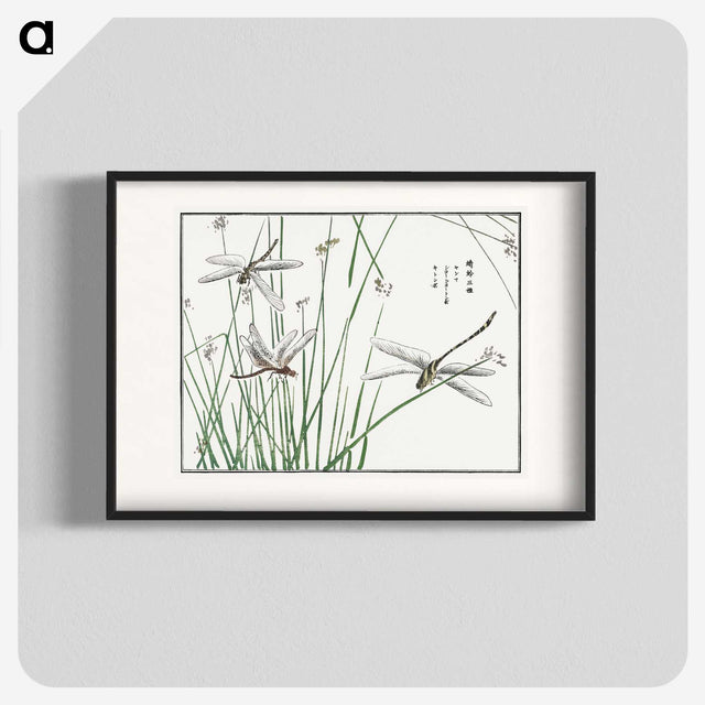 1-6_Morimoto-Tokaku_blk