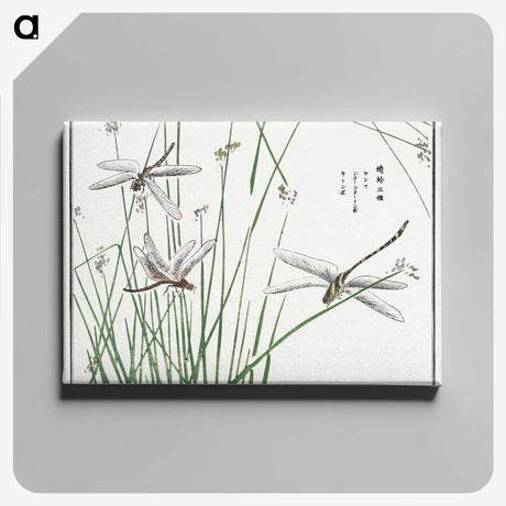 1-6_Morimoto-Tokaku_canvas