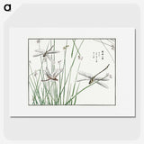 1-6_Morimoto-Tokaku_picture
