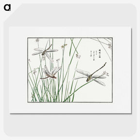 1-6_Morimoto-Tokaku_picture