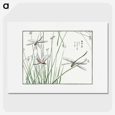 1-6_Morimoto-Tokaku_picture