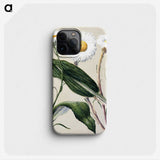 1-6_Native-Flowering-Plants-of-New-Zealand_phone