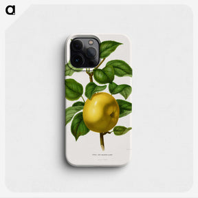 1-6_Nederlandsche-Flora-en-Pomona_phone