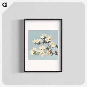 アートポスター-Vintage Japanese azaleas illustration wall art print and poster design remix from original artwork - 小川 一正 Poster.