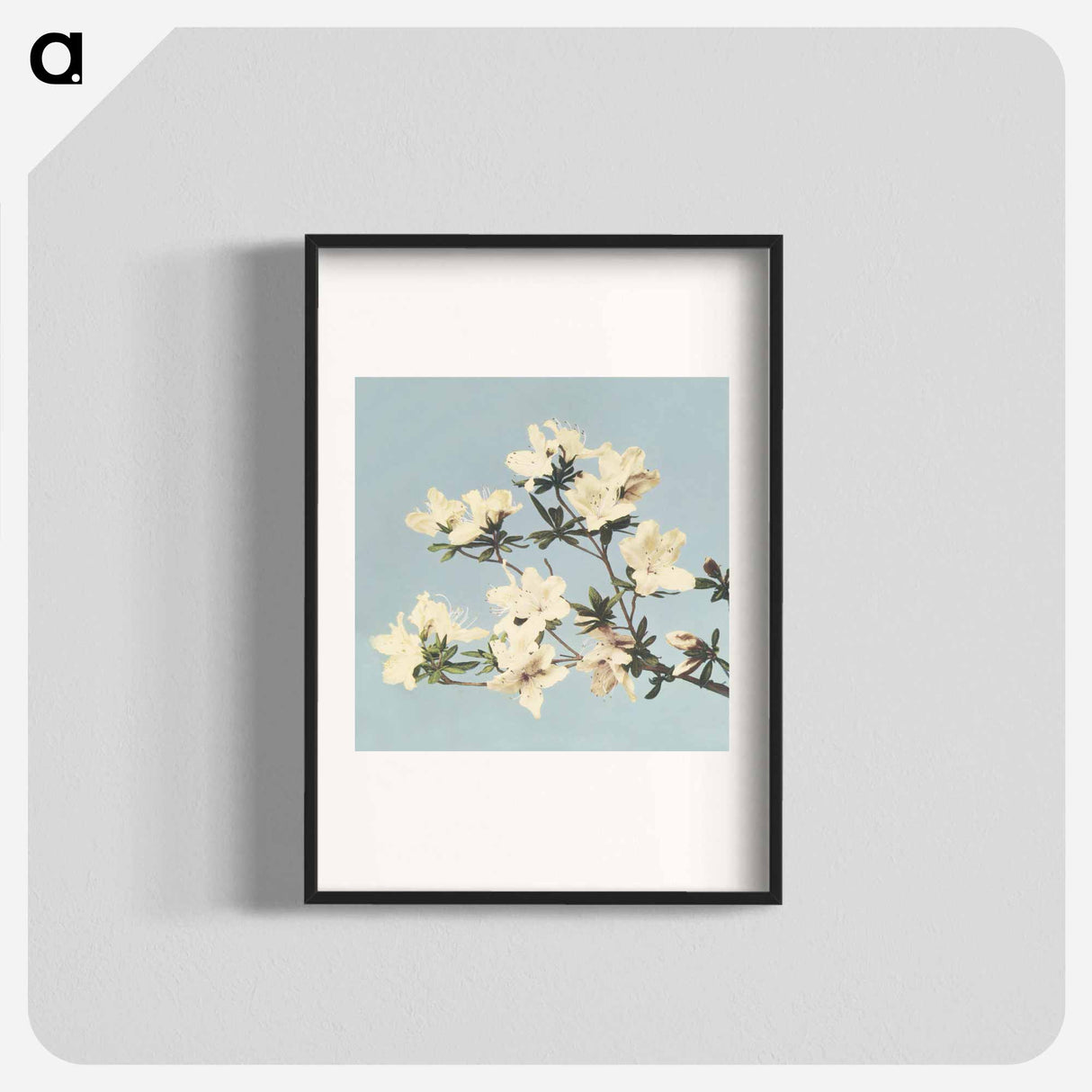 Vintage Japanese azaleas illustration wall art print and poster design remix from original artwork - 小川 一正 Poster.