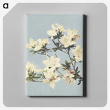 1-6_Ogawa-Kazumasa_canvas
