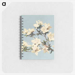 アートメモ帳-Vintage Japanese azaleas illustration wall art print and poster design remix from original artwork - 小川 一正 Memo.