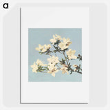 Vintage Japanese azaleas illustration wall art print and poster design remix from original artwork - 小川 一正 Poster.