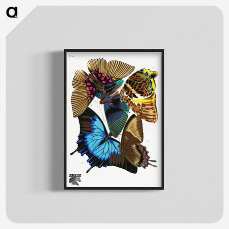 1-6_Papillons_blk-crop