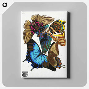 アートパネル-Vintage Butterflies
 - パピヨン Canvas.