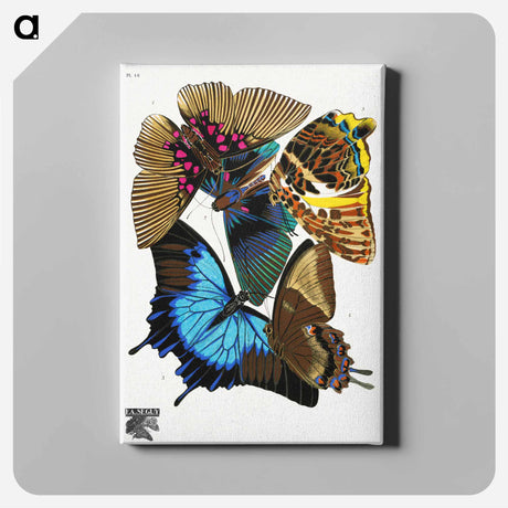 アートパネル-Vintage Butterflies
 - パピヨン Canvas.