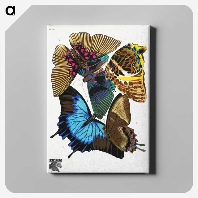 1-6_Papillons_canvas