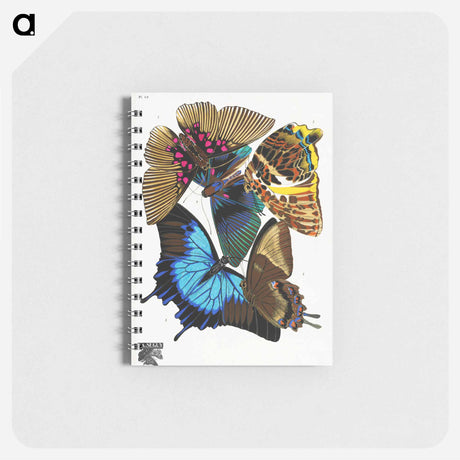 アートメモ帳-Vintage Butterflies
 - パピヨン Memo.