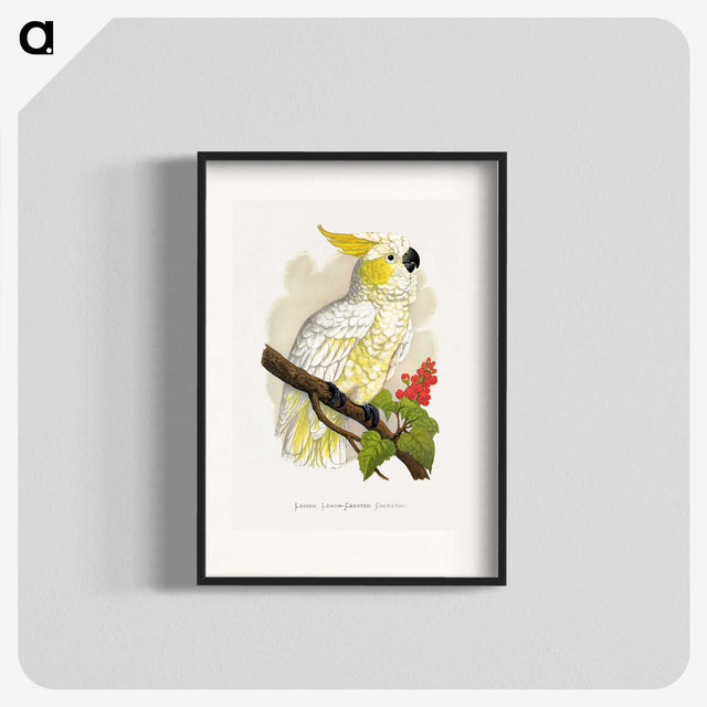 1-6_Parrots-in-Captivity_blk