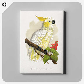 1-6_Parrots-in-Captivity_canvas