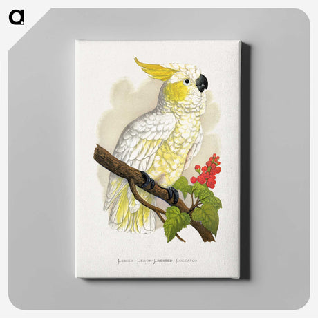 1-6_Parrots-in-Captivity_canvas