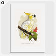 1-6_Parrots-in-Captivity_picture