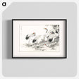 アートポスター-Japanese Crane and Bamboo Illustration
 - 鳥類図鑑 Poster.