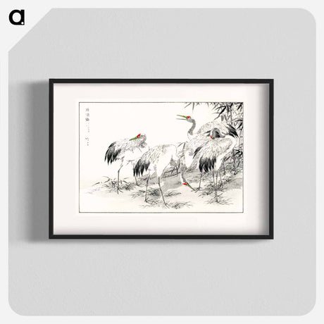 アートポスター-Japanese Crane and Bamboo Illustration
 - 鳥類図鑑 Poster.
