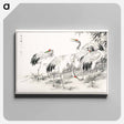 アートパネル-Japanese Crane and Bamboo Illustration
 - 鳥類図鑑 Canvas.